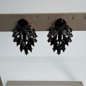 Black Crystal Leaf Drop Cluster Earrings